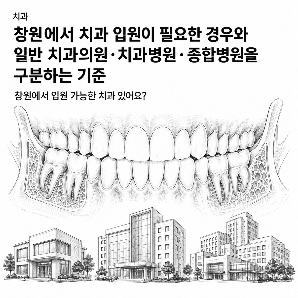 창원에서 치과 입원이 필요한 경우와 일반 치과의원·치과병원·종합병원을 구분하는 기준 핵심 정보 이미지
