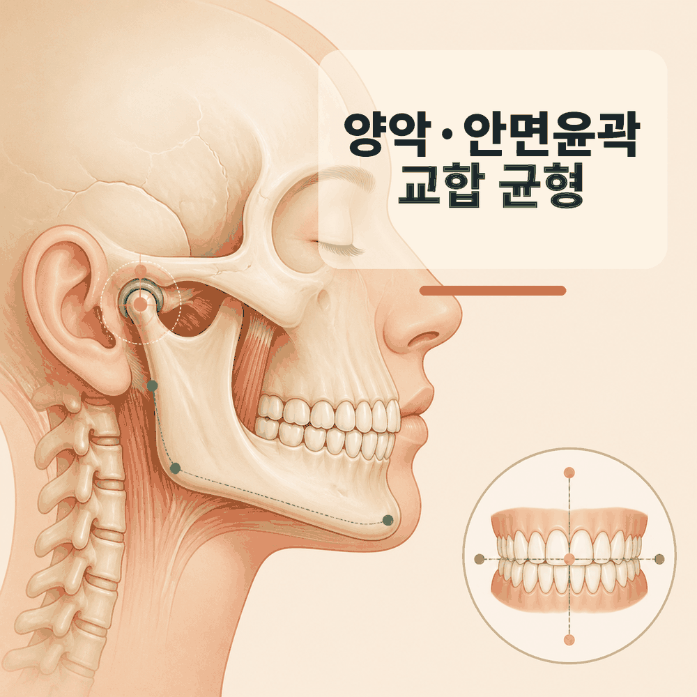 양악·안면윤곽 상담에서 얼굴뼈와 교합을 함께 보는 이유