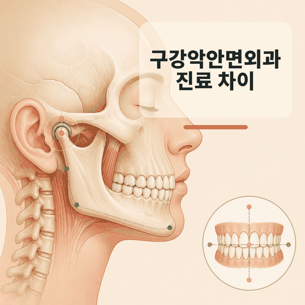 경남 치과 구강악안면외과 전문의가 임플란트 상담에서 보는 수술적 요소 핵심 정보 이미지